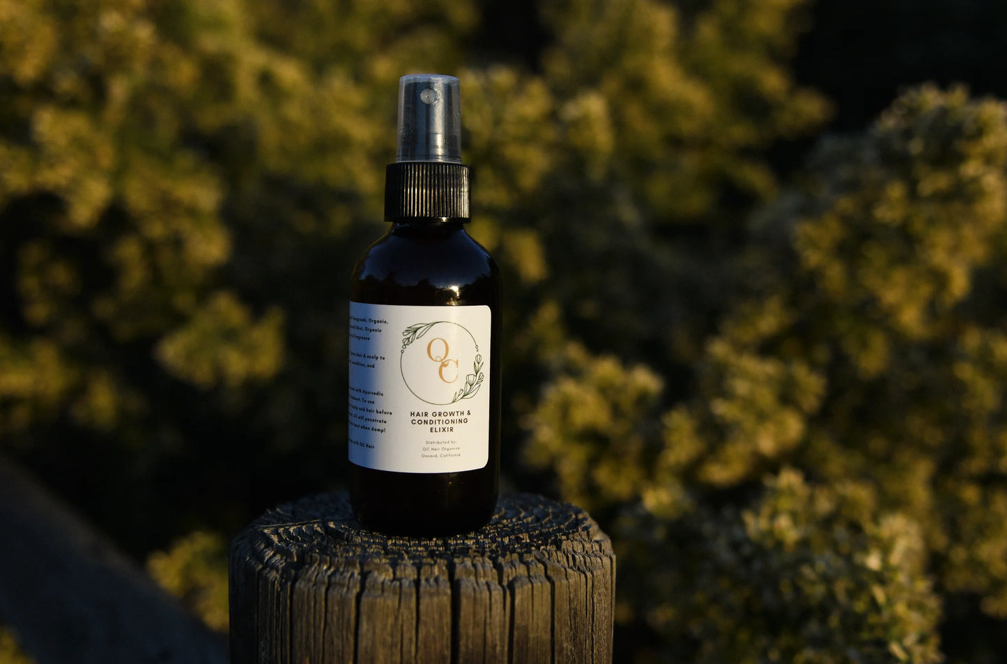 QC Hair Oil