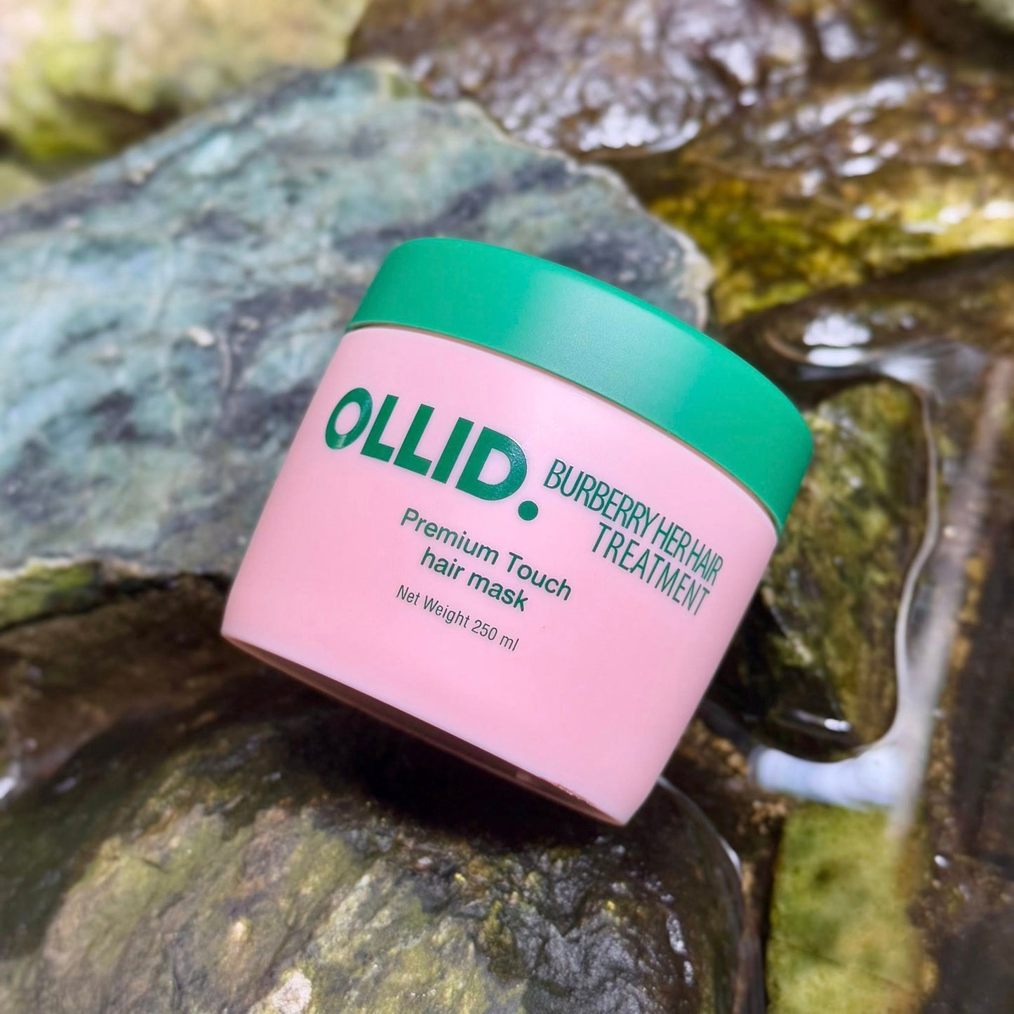 Ollid Burberry Her Hair Treatment